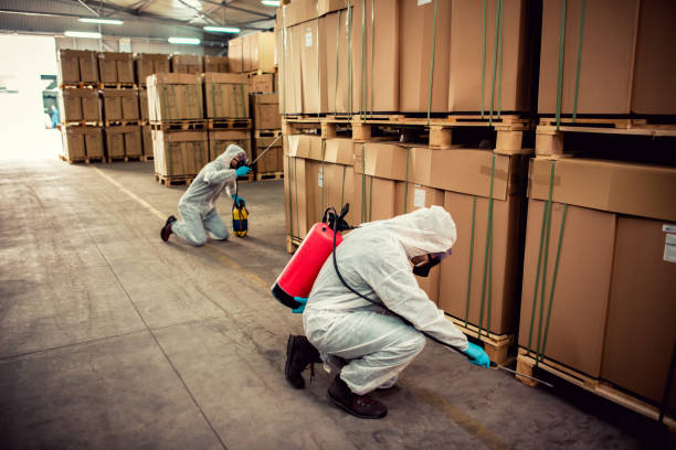 Best Termite Control Services  in Susquehanna Trails, PA