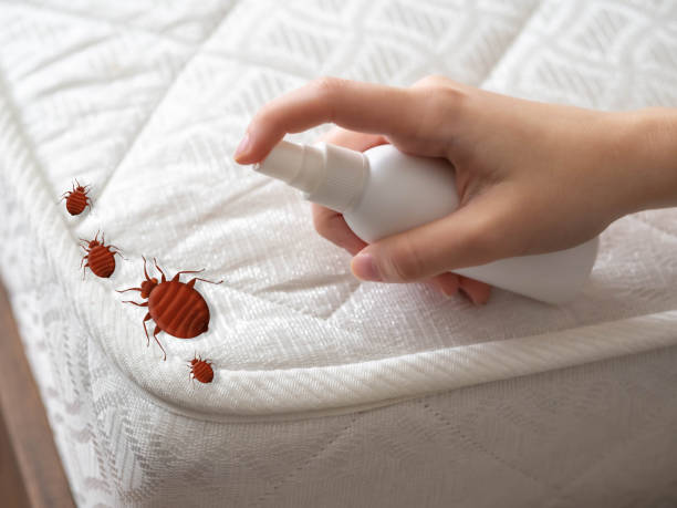 Best Pest Removal Services  in Susquehanna Trails, PA